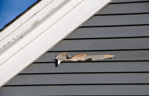 Best Storm Damage Siding Repair  in East Troy, WI